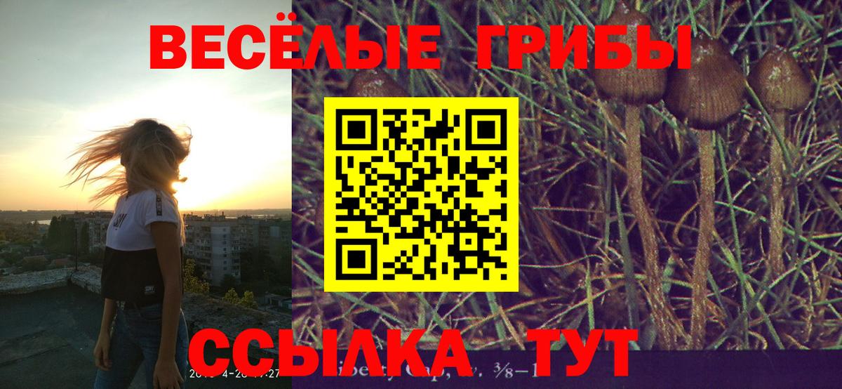 Псилоцибиновые грибы GOLDEN TEACHER Татарск