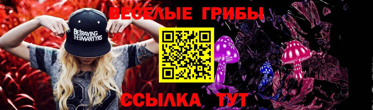 Галлюциногенные грибы Psilocybe  Вход с VPN  закладка  Татарск 